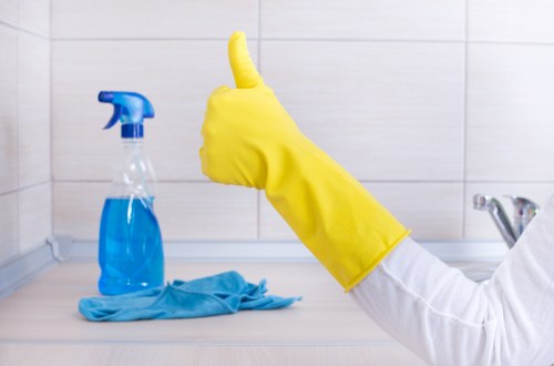 At-home rug cleaning tools and maintenance supplies