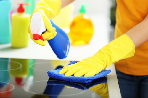 Sofa cleaning in a bright living room setting